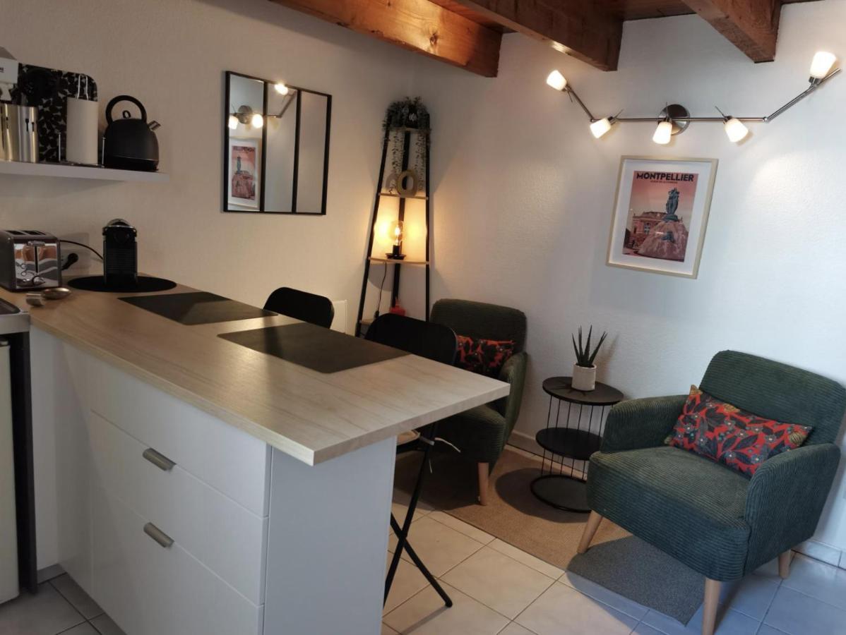 Le Studio De La Comedie, Montpellier, Hyper-Centre Leilighet Eksteriør bilde